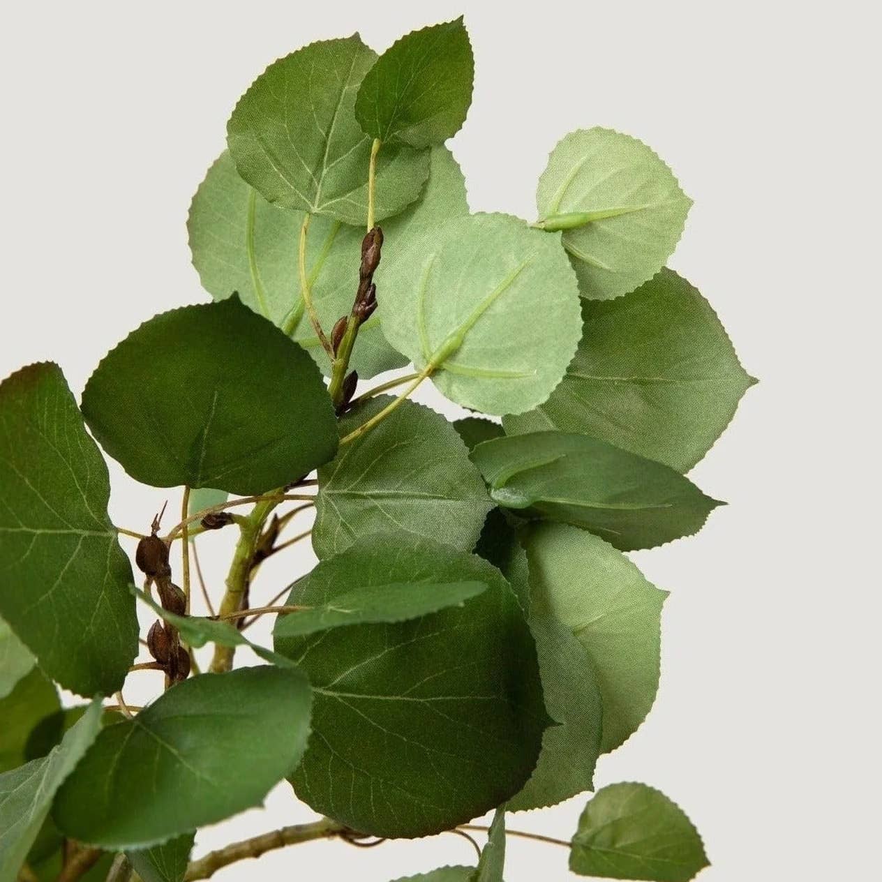 Luxe Artificial Aspen Branch - 51"