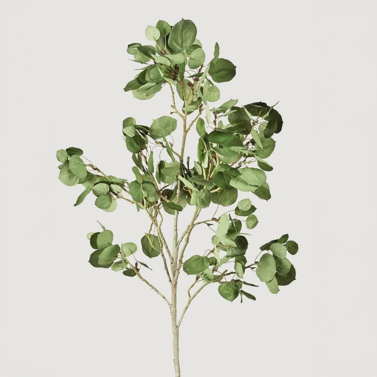 Luxe Artificial Aspen Branch - 51"